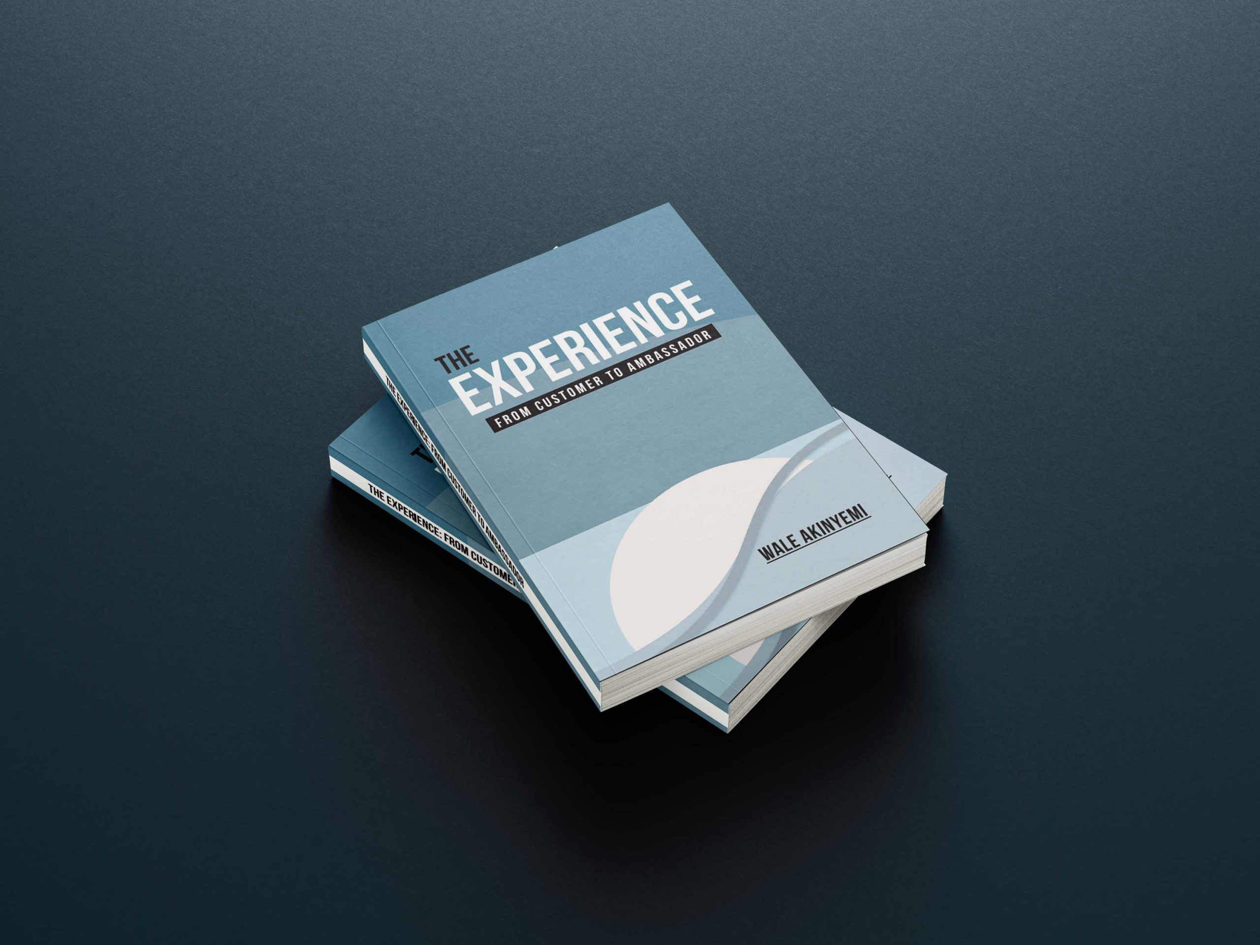 The Experience by Wale Akinyemi