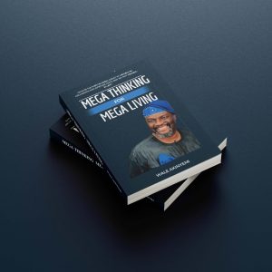 Mega Thinking By Wale Akinyemi